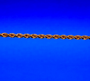 10K Rose Gold Rope Chain Necklace Bracelet Diamond Cut Real Gold Men Women Jewelry 1.3g | 2mm | 7 Inches | MADE IN ITALY